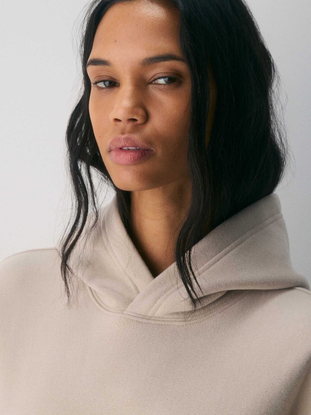 Aritzia Cozy Sweatfleece Perfect Hoodie